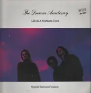 The Dream Academy - Life In A Northern Town