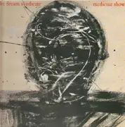 LP - The Dream Syndicate - Medicine Show