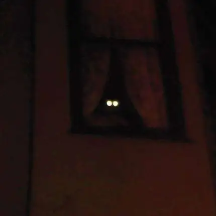Thee OH Sees - Fortress
