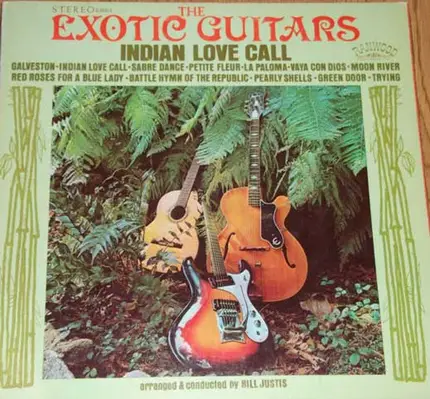 The Exotic Guitars - Indian Love Call