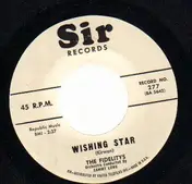 The Fidelity's - Wishing Star / Broken Love