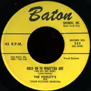 7'' - The Fidelity's with Teacho Wiltshire Orchestra - Hold On To What'cha Got (And Get One More) / The Things I Love