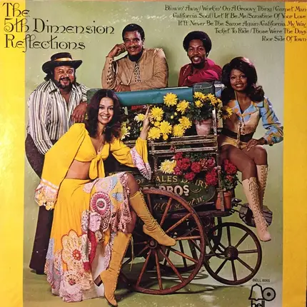 The Fifth Dimension - Reflections