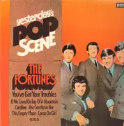 LP - The Fortunes - You've Got Your Troubles