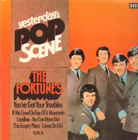 The Fortunes - You've Got Your Troubles