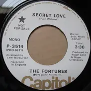 The Fortunes - Secret Love