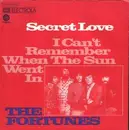 7'' - The Fortunes - Secret Love / I Can't Remember When The Sun Went In