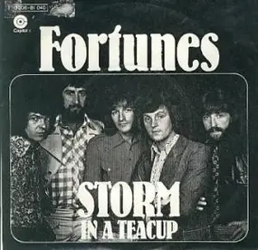 The Fortunes - Storm in a Teacup