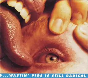 The Flaming Lips - Yeah, I Know It's A Drag...Wastin' Pigs Is Still Radical