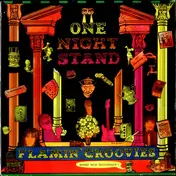 The Flamin' Groovies - One Night Stand