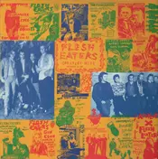 Flesh Eaters - Greatest Hits - Destroyed By Fire