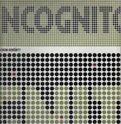 The Frank Popp Ensemble - Incognito