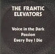 the Frantic Elevators - Voice in the Dark