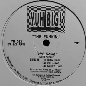 The Funkin - Outta Sight / Ho' Down