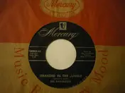 The Gadabouts - Stranded In The Jungle / Blues Train