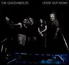 Double CD - The GADDABOUTS - Look Out Now!