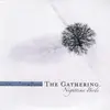 Double LP - The GATHERING - NIGHTTIME BIRDS - GATEFOLD, MASTERED AT 45 RPM. LTD TO 500