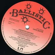 LP - The Gaylads - Understanding