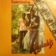 LP - The Gaylads - Understanding