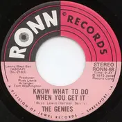 The Genies - Prove It / Know What To Do When You Get It