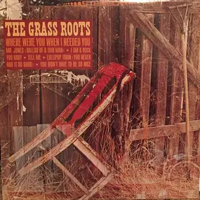 The Grass Roots - Where Were You When I Needed You