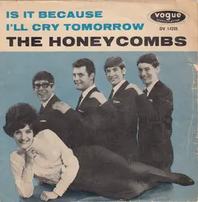 The Honeycombs - Is It Because?