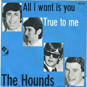 Hounds - All I Want Is  You /  True To Me