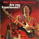 LP - The Jimi Hendrix Experience - Are You Experienced?