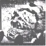The Joyce McKinney Experience - Boring Rock!