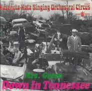 The Kasenetz-Katz Singing Orchestral Circus - Down In Tennessee / Mrs. Green