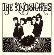 The Kingsnakes - Roundtrip Ticket