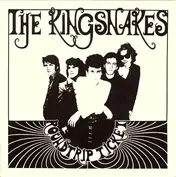 The Kingsnakes