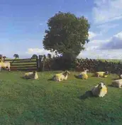 The KLF - Chill Out