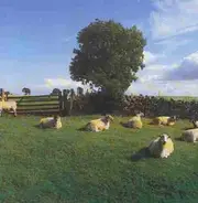 The KLF - Chill Out