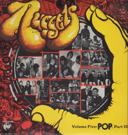 The Knickerbockers, The Lovin' Spoonful, The Grass Roots... - Nuggets Volume 5: Pop, Part 3