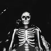 The MAINE - Forever Halloween