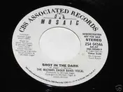 Michael Zager Band - Shot In The Dark