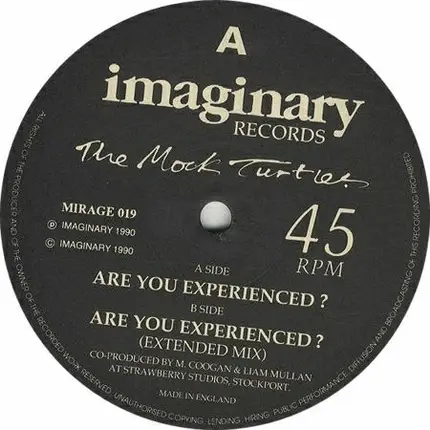 The Mock Turtles - Are You Experienced?
