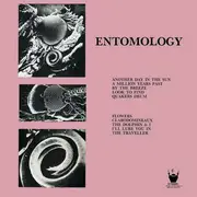 LP - The Moffs - Entomology