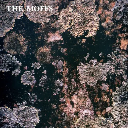 Moffs - Entomology