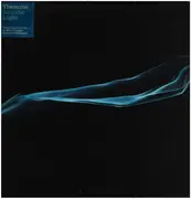 12inch Vinyl Single - Themroc - Into The Light