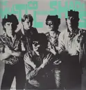 12'' - The Multicoloured Shades - Multicoloured Shades - Green Vinyl