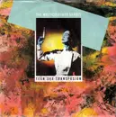 7'' - The Multicoloured Shades - Teen Sex Transfusion