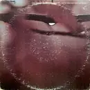 LP - The Mystic Moods Orchestra - Love The One You're With