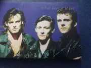 12inch Vinyl Single - Then Jerico - What Does It Take? - Gatefold + 5 band portraits