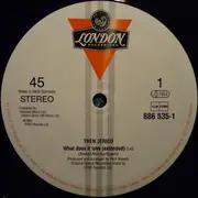 12'' - Then Jerico - What Does It Take