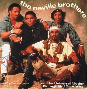 The Neville Brothers - Bird On A Wire