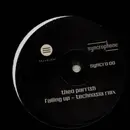 12inch Vinyl Single - Theo Parrish - Falling Up (Technasia Rmx)