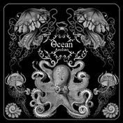The Ocean - Fluxion / Aeolian
