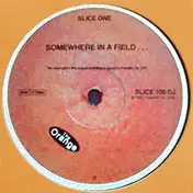 The Orange - Somewhere In A Field ...